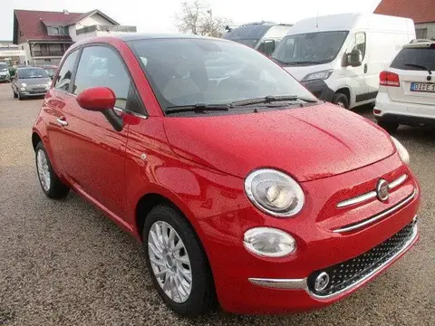 Used FIAT 500 Petrol 2023 Ad 