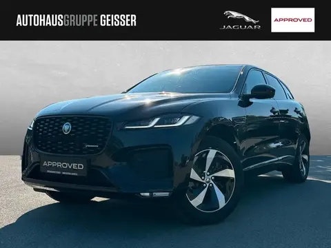 Used JAGUAR F-PACE Hybrid 2024 Ad 