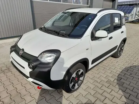 Annonce FIAT PANDA Essence 2024 d'occasion 