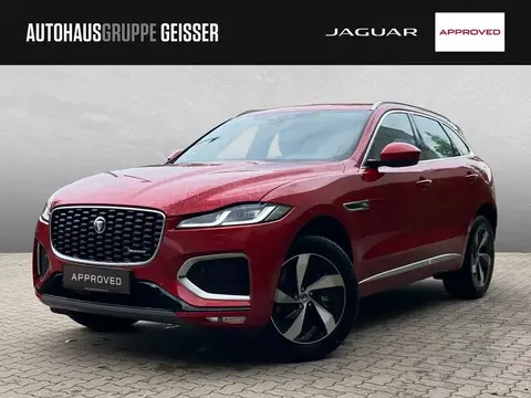 Used JAGUAR F-PACE Hybrid 2024 Ad 