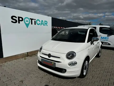 Used FIAT 500 Petrol 2023 Ad 