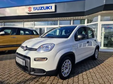 Used FIAT PANDA Hybrid 2023 Ad 