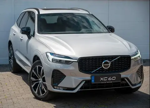 Annonce VOLVO XC60 Diesel 2024 d'occasion 