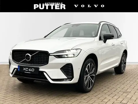 Annonce VOLVO XC60 Essence 2024 d'occasion 