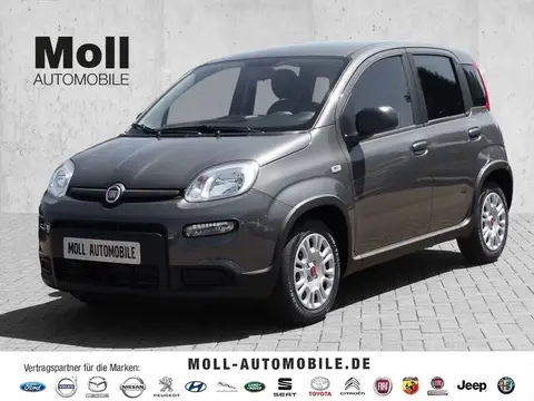 Used FIAT PANDA Petrol 2023 Ad 