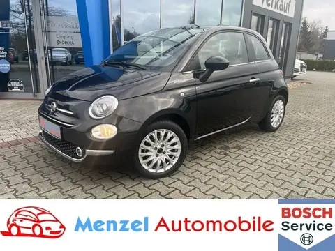 Used FIAT 500 Petrol 2022 Ad 