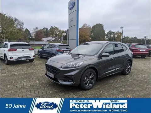 Used FORD KUGA Hybrid 2024 Ad 