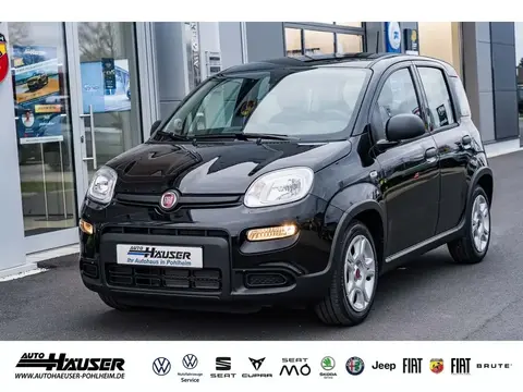 Annonce FIAT PANDA Essence 2024 d'occasion 