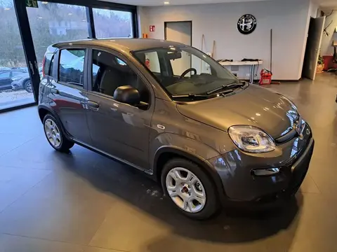 Used FIAT PANDA Hybrid 2024 Ad 