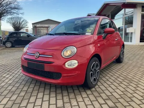 Used FIAT 500 Petrol 2022 Ad 