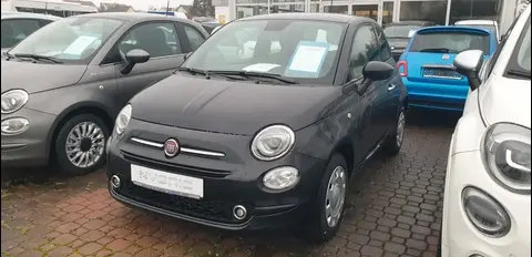 Used FIAT 500 Petrol 2023 Ad 