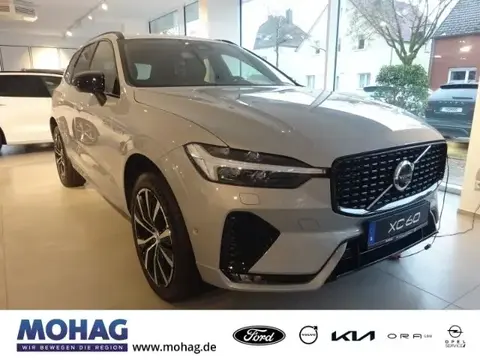 Annonce VOLVO XC60 Diesel 2024 d'occasion 