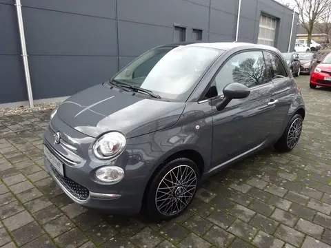 Used FIAT 500 Petrol 2019 Ad 