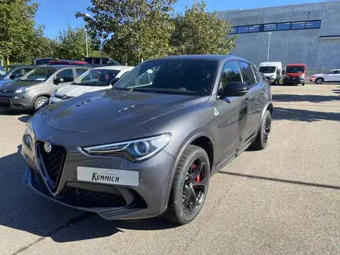 Used ALFA ROMEO STELVIO Petrol 2023 Ad 