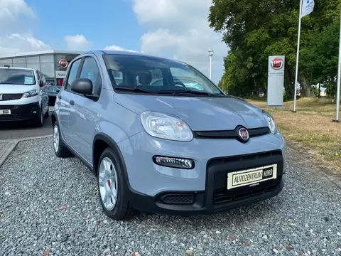 Used FIAT PANDA Petrol 2024 Ad 