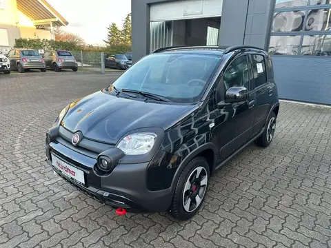 Used FIAT PANDA Petrol 2024 Ad 