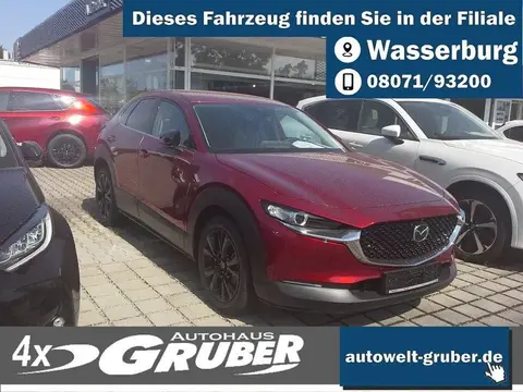 Used MAZDA CX-30 Petrol 2023 Ad 