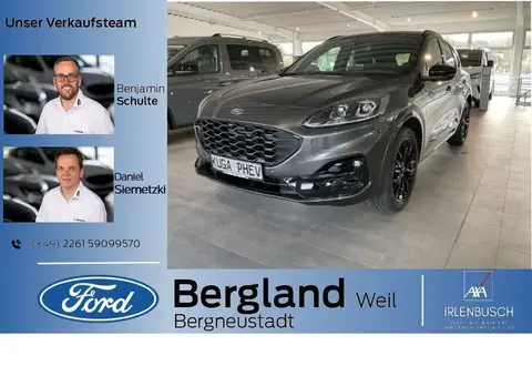 Used FORD KUGA Hybrid 2024 Ad 