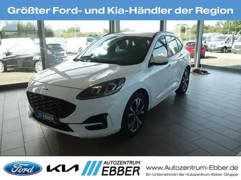 Used FORD KUGA Diesel 2024 Ad 