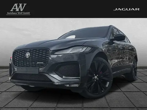 Used JAGUAR F-PACE Petrol 2024 Ad 