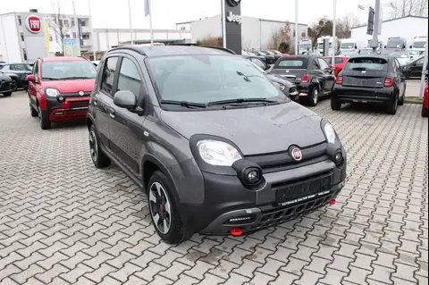 Used FIAT PANDA Petrol 2024 Ad 