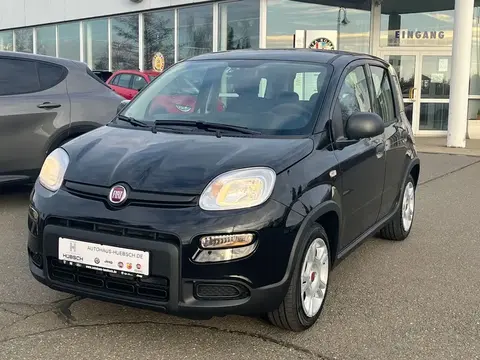 Used FIAT PANDA Hybrid 2024 Ad 