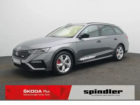 Used SKODA OCTAVIA Petrol 2023 Ad 