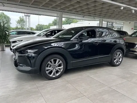 Annonce MAZDA CX-30 Hybride 2023 d'occasion 