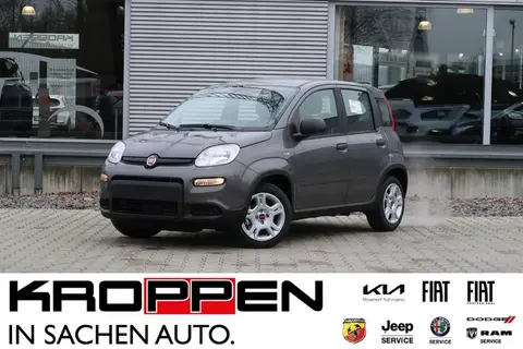 Used FIAT PANDA Hybrid 2024 Ad 