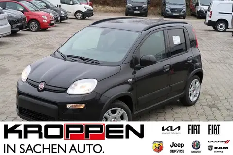 Used FIAT PANDA Hybrid 2024 Ad 