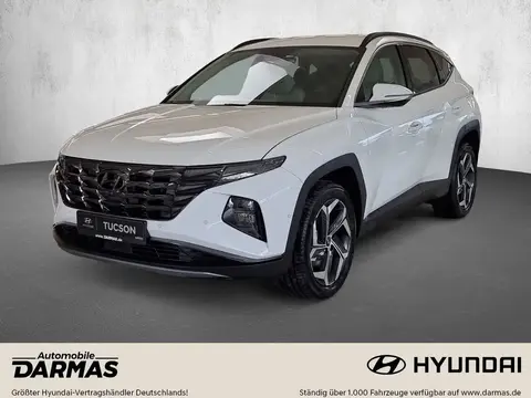 Annonce HYUNDAI TUCSON Essence 2024 d'occasion 