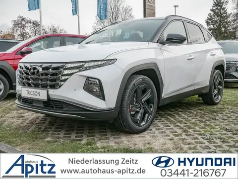 Annonce HYUNDAI TUCSON Hybride 2024 d'occasion 