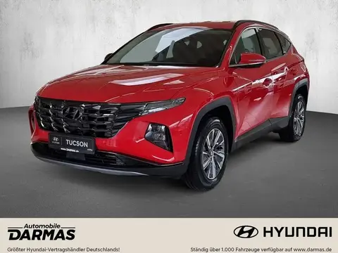 Annonce HYUNDAI TUCSON Essence 2024 d'occasion 