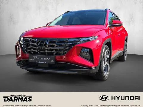 Annonce HYUNDAI TUCSON Essence 2024 d'occasion 