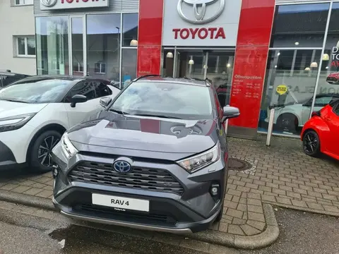 Used TOYOTA RAV4 Hybrid 2024 Ad Germany