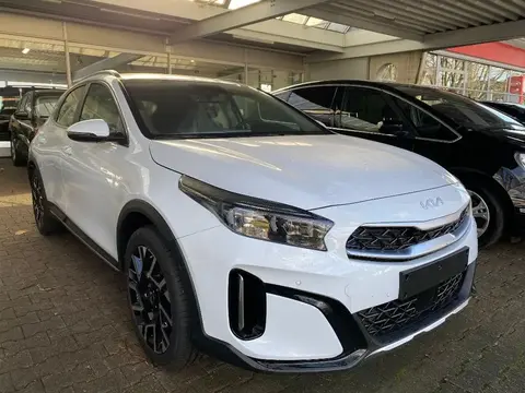 Used KIA XCEED Hybrid 2024 Ad 