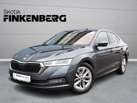 Annonce SKODA OCTAVIA Diesel 2020 d'occasion 