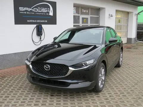 Used MAZDA CX-30 Hybrid 2024 Ad 