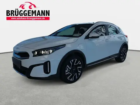 Used KIA XCEED Hybrid 2024 Ad 