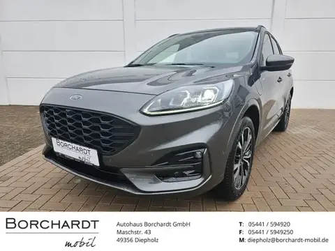 Used FORD KUGA Hybrid 2024 Ad 