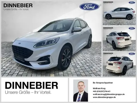 Annonce FORD KUGA Diesel 2023 d'occasion 