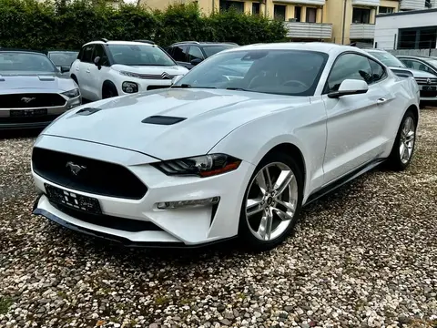 Annonce FORD MUSTANG Essence 2021 d'occasion 