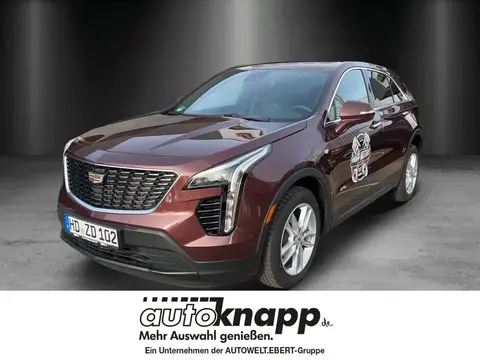 Used CADILLAC XT4 Petrol 2022 Ad 