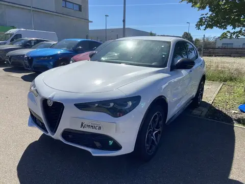 Used ALFA ROMEO STELVIO Petrol 2023 Ad 