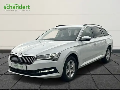 Annonce SKODA SUPERB Diesel 2024 d'occasion 