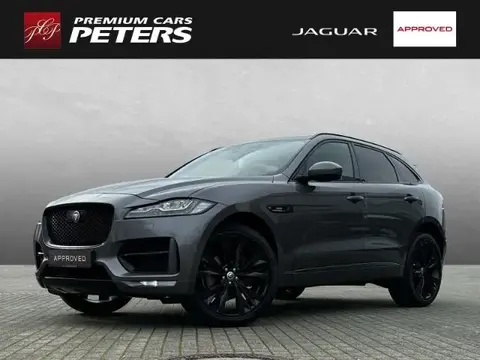 Used JAGUAR F-PACE Diesel 2019 Ad 