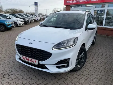 Annonce FORD KUGA Essence 2024 d'occasion 