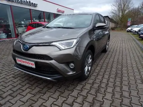 Used TOYOTA RAV4 Hybrid 2016 Ad Germany