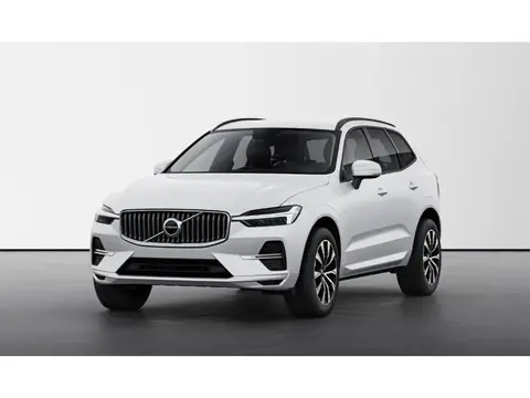 Annonce VOLVO XC60 Essence 2024 d'occasion 