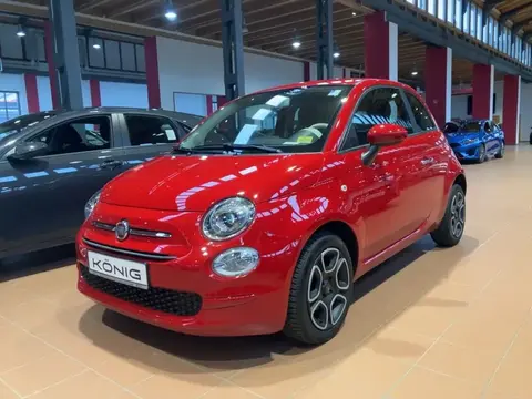 Used FIAT 500 Petrol 2022 Ad 